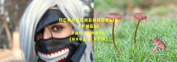 мескалин Алексин