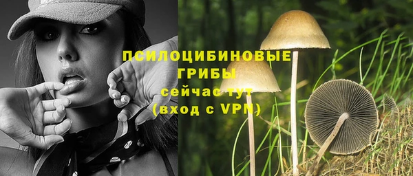 крисы Алзамай