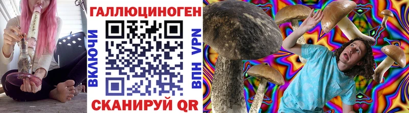 Галлюциногенные грибы Psilocybine cubensis  Тайшет 